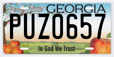 GA license plate PUZ0657