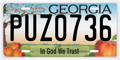 GA license plate PUZ0736
