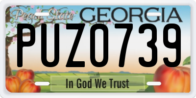 GA license plate PUZ0739