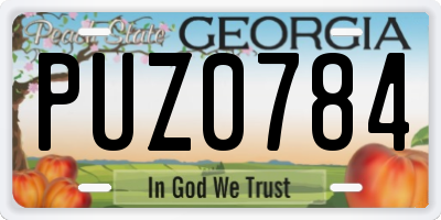GA license plate PUZ0784