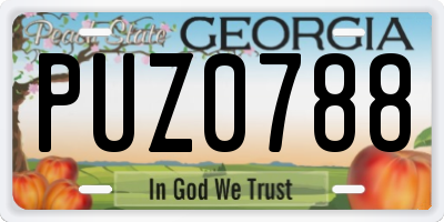 GA license plate PUZ0788