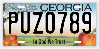 GA license plate PUZ0789