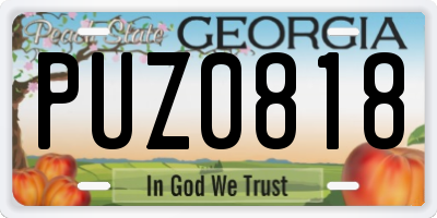 GA license plate PUZ0818