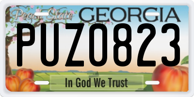 GA license plate PUZ0823