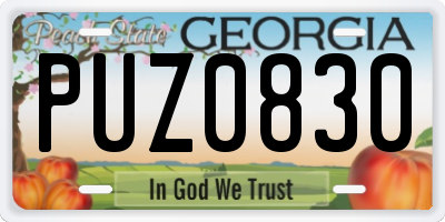 GA license plate PUZ0830