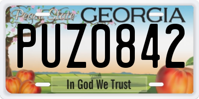 GA license plate PUZ0842