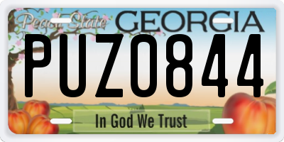 GA license plate PUZ0844