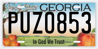 GA license plate PUZ0853