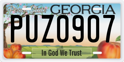 GA license plate PUZ0907