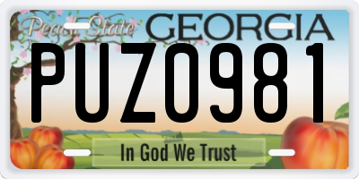 GA license plate PUZ0981