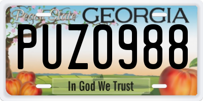 GA license plate PUZ0988