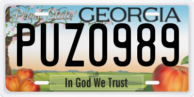 GA license plate PUZ0989
