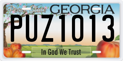 GA license plate PUZ1013