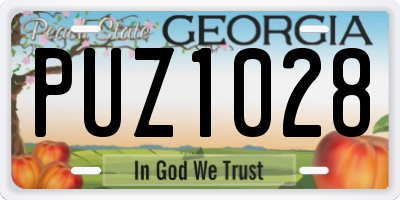 GA license plate PUZ1028