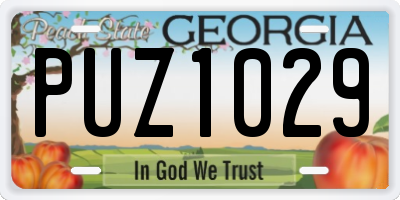 GA license plate PUZ1029