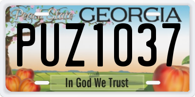GA license plate PUZ1037
