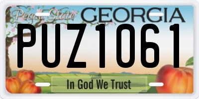 GA license plate PUZ1061