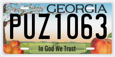GA license plate PUZ1063