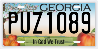 GA license plate PUZ1089
