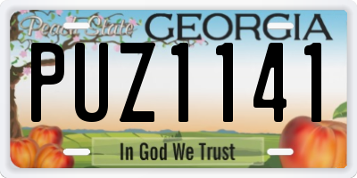 GA license plate PUZ1141