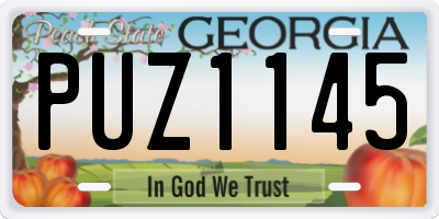 GA license plate PUZ1145