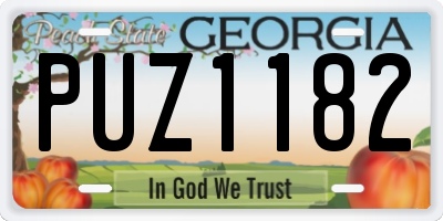 GA license plate PUZ1182