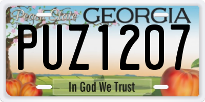 GA license plate PUZ1207