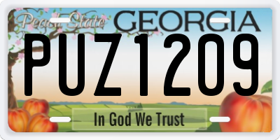 GA license plate PUZ1209