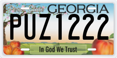 GA license plate PUZ1222