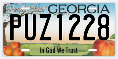GA license plate PUZ1228