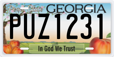 GA license plate PUZ1231