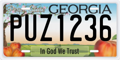 GA license plate PUZ1236