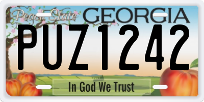 GA license plate PUZ1242