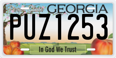 GA license plate PUZ1253