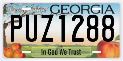 GA license plate PUZ1288