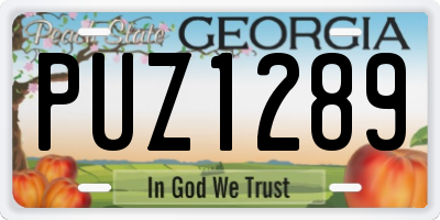 GA license plate PUZ1289