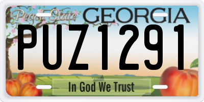 GA license plate PUZ1291