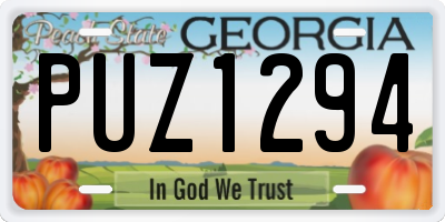 GA license plate PUZ1294