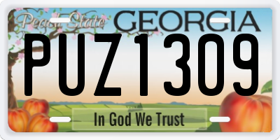 GA license plate PUZ1309