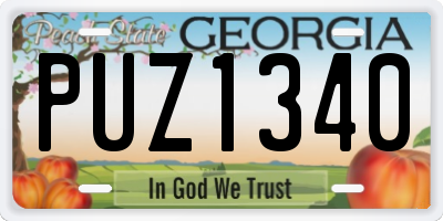 GA license plate PUZ1340