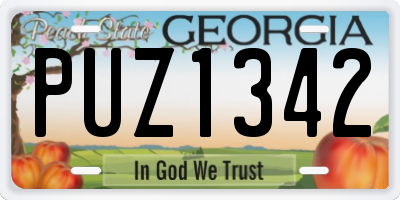 GA license plate PUZ1342