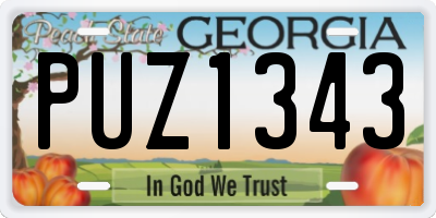 GA license plate PUZ1343