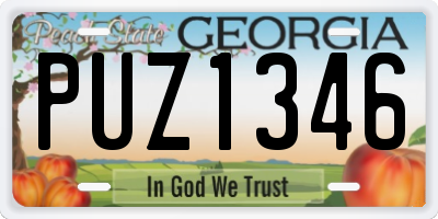 GA license plate PUZ1346