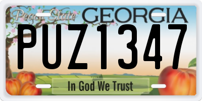 GA license plate PUZ1347