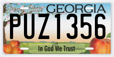 GA license plate PUZ1356