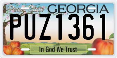 GA license plate PUZ1361