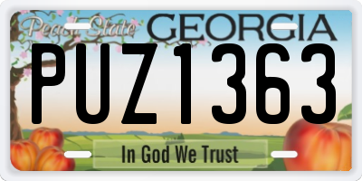 GA license plate PUZ1363
