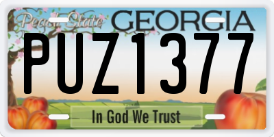 GA license plate PUZ1377