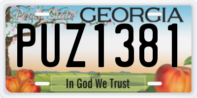 GA license plate PUZ1381