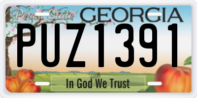GA license plate PUZ1391